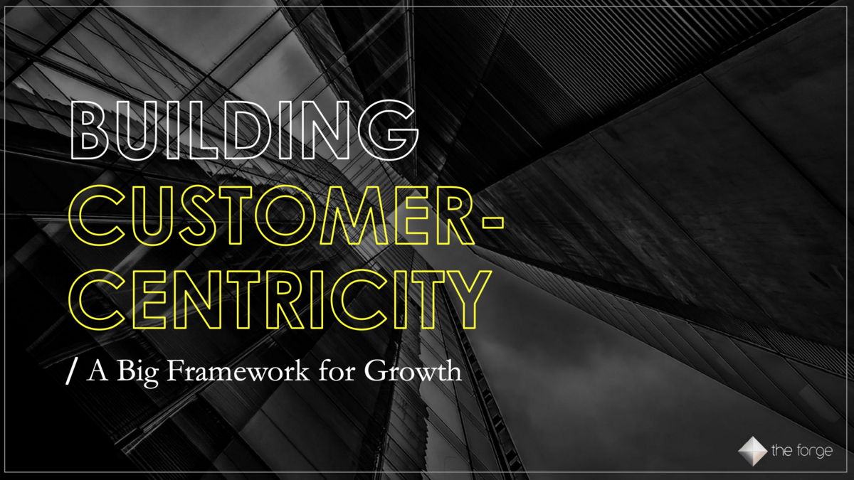 Building Customer Centricity A Big Framework For Growth AURA