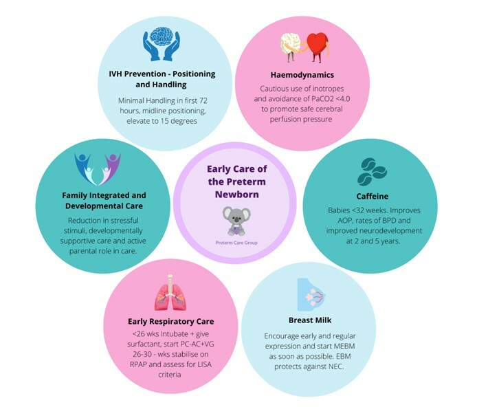 QI Storyboard: Reducing Severe Intraventricular Haemorrhages | British ...