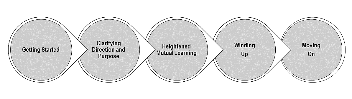 Mentoring process