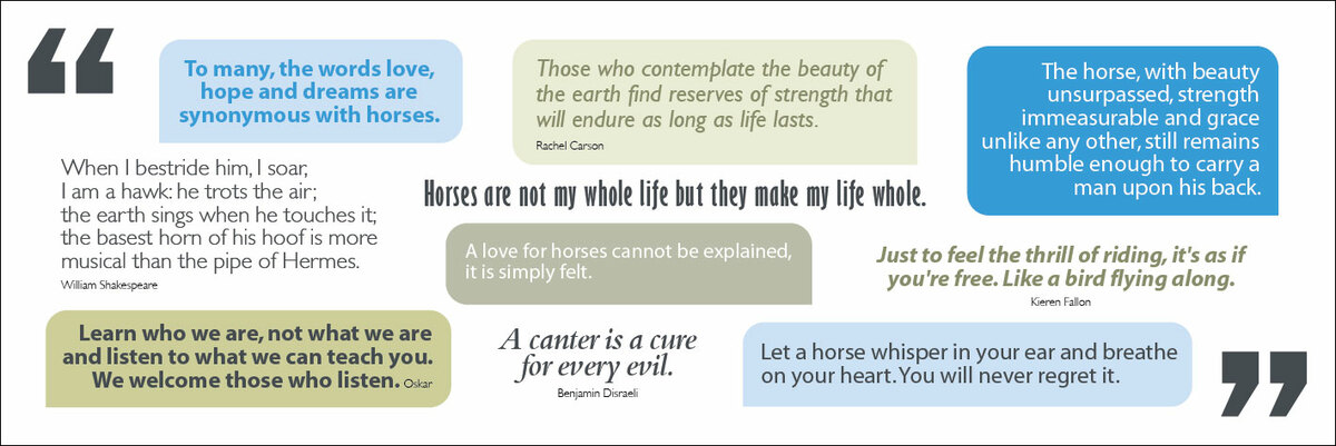 What Horses Mean To People Happiness Horsebox CIC