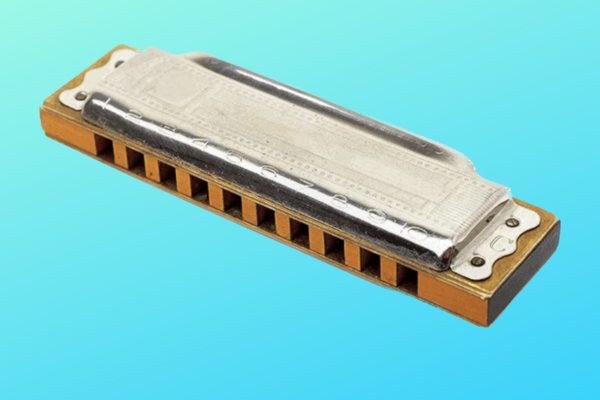 Photo of Diatonic harmonica 