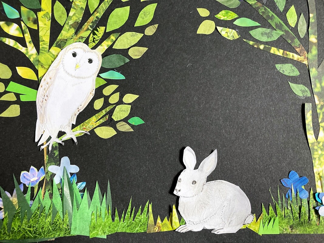 Mr Hoo's Homework Learn to Love to Read