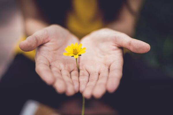 Hands holding flower.