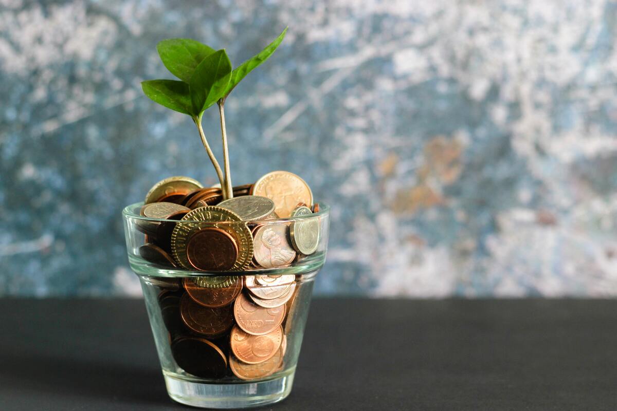 Image of coins in a glass with plant shoot growing out of it.