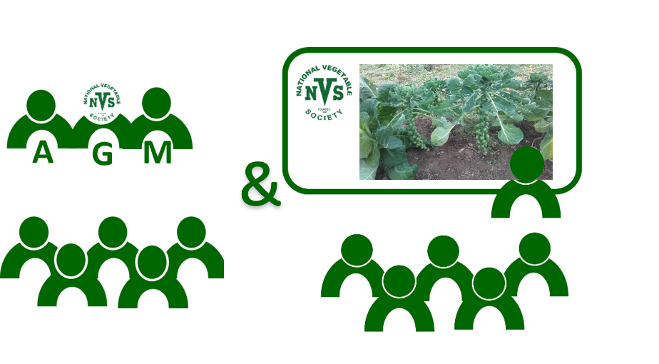 Hants D.A. AGM and Talk "Grow your Greens" by John Trim National