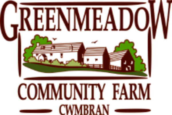 Greenmeadow Show 'A family show for all’ | National Vegetable Society