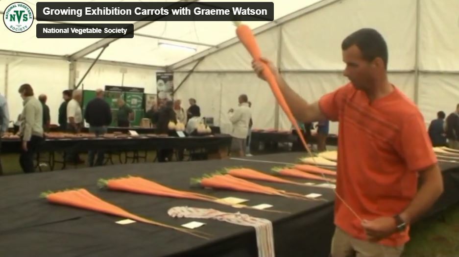Growing Exhibition Carrots with Graeme Watson National Vegetable Society