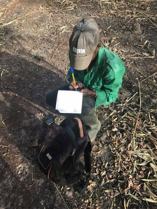 Primate Jobs and Academic Opportunities Primate Society of Great Britain