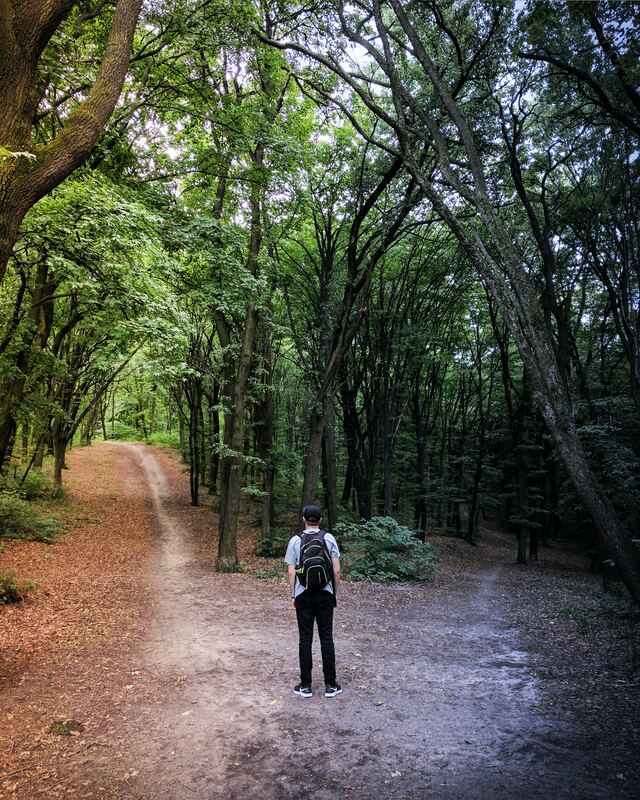 Young person stands at a crossroads in a forest deciding which road to take to help illustrate young people making decisions about youth leadership and youth power.
