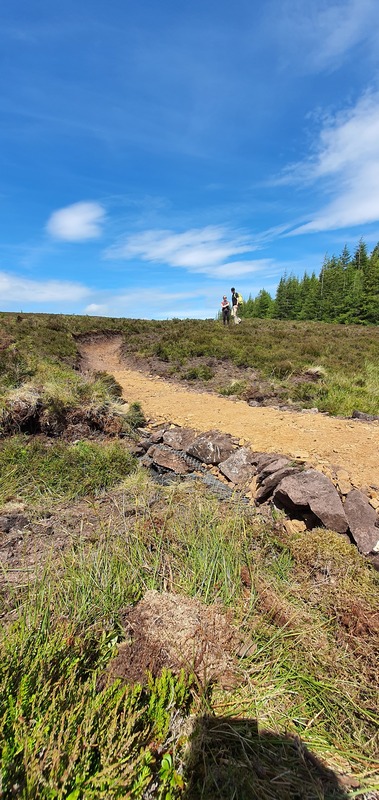 A geo-mesh raft was created to bridge the narrow section of the bog